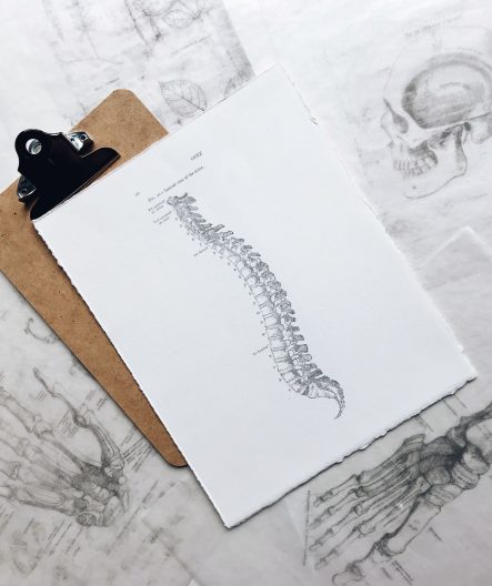 World-Osteoporosis-Day